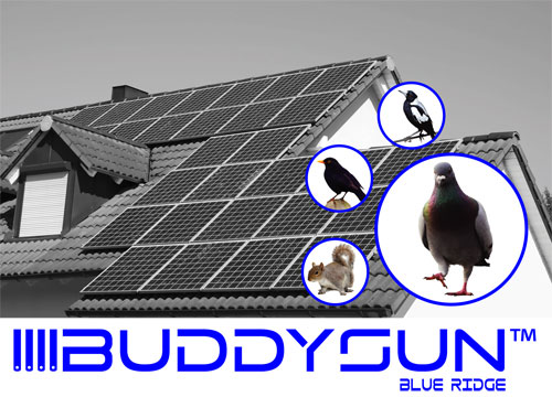 BUDDYSUN® - blue ridge is the innovative bird barrier system for solar and photovoltaic panels - EXCLUSIVE BUDDYSUN® DISTRIBUTOR FOR THE USA