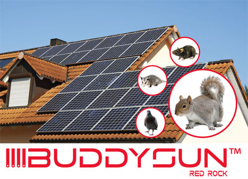 BUDDYSUN® red rock is the innovative rodent barrier system for solar and photovoltaic panels - EXCLUSIVE BUDDYSUN® DISTRIBUTOR FOR THE USA